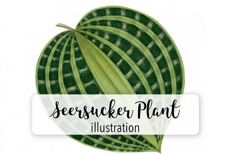 Leaves - Vintage Seersucker Plant