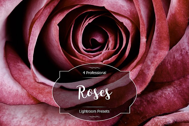 Roses Lr Presets