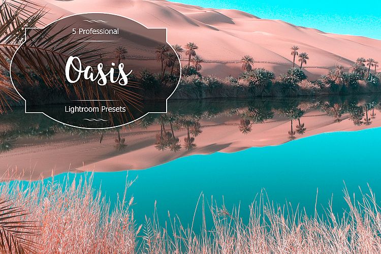 Oasis Lr Presets