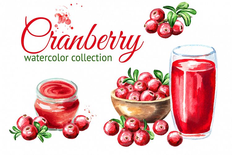 Cranberry. Watercolor collection