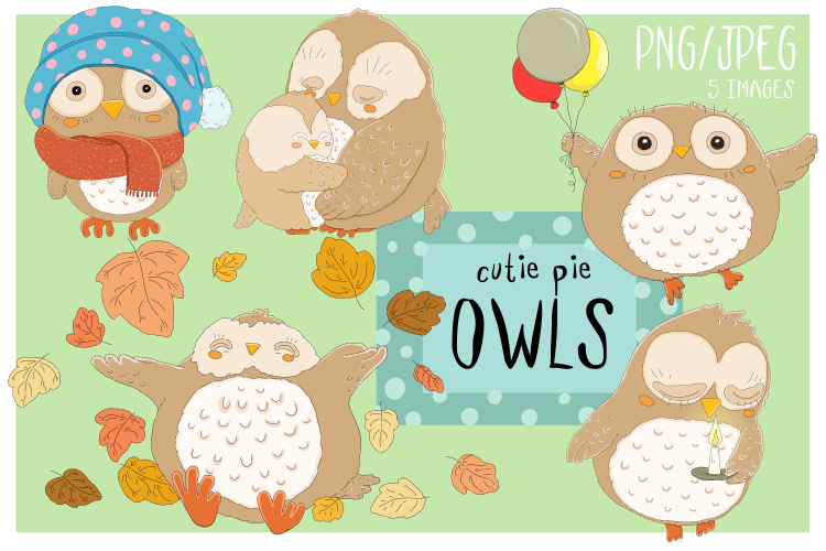 Cutie Pie Owls | Clip art illustrations PNG/JPEG | 5 images