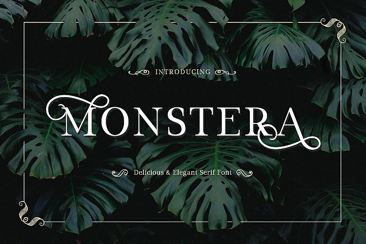 Monstera