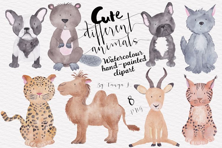 Cute Different Animals Watercolor Hand Painted Clipart