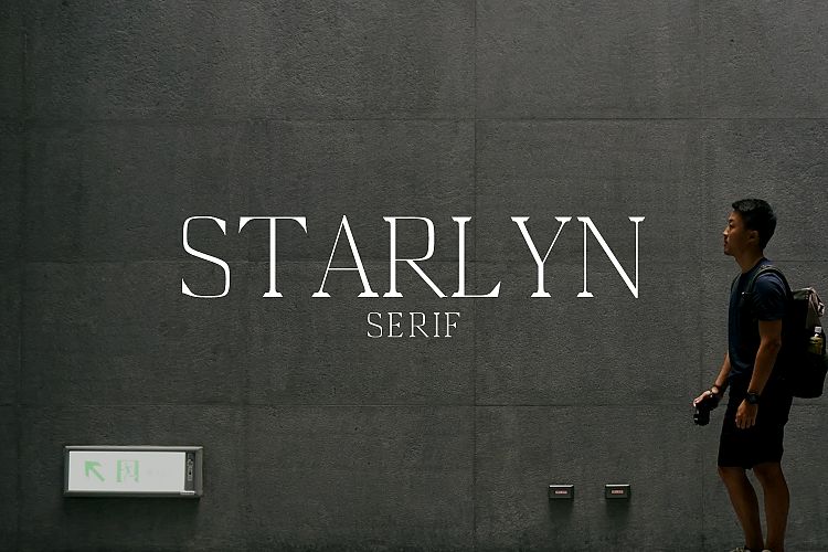 Starlyn Serif Font Family