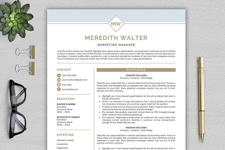 Resume Templates / CV Templates, Professional Resume Template