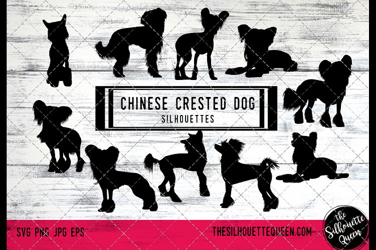Chinese Crested Dog svg files cricut, silhouette clip art, V
