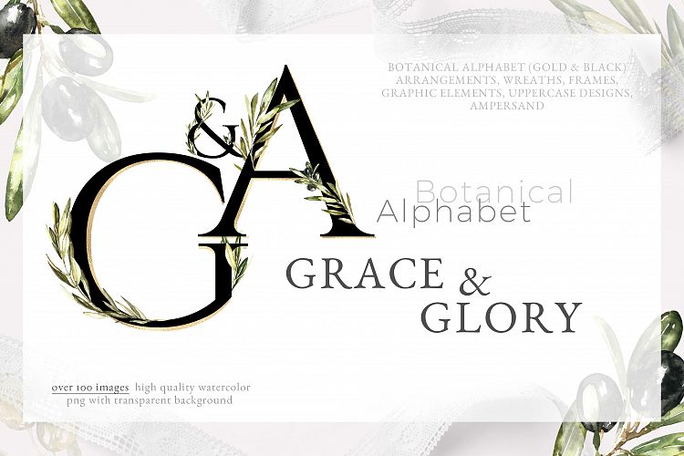 Grace & Glory Botanical Alphabet Olive Watercolor