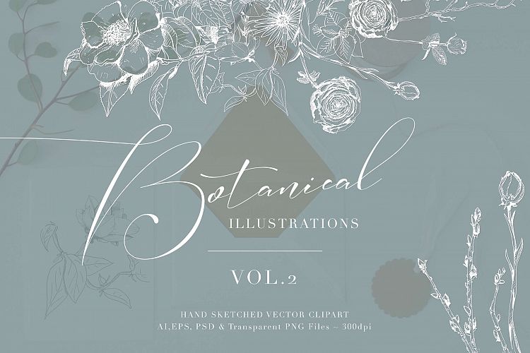 Botanical Illustrations Vol.2