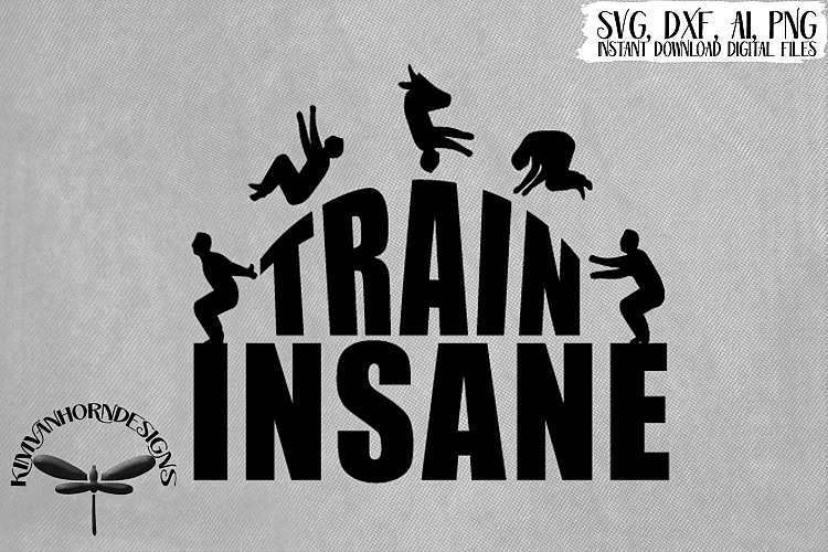 Train Insane, Backflip, Gymnast, Tumbling Boy