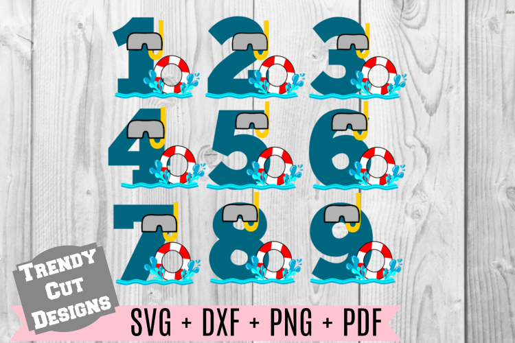 Bundle, Pool Party Number Birthday Set SVG