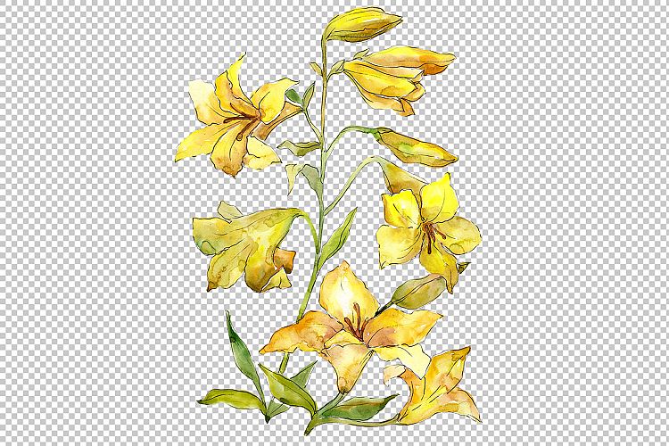 Bouquet of yellow lilies PNG watercolor flower set