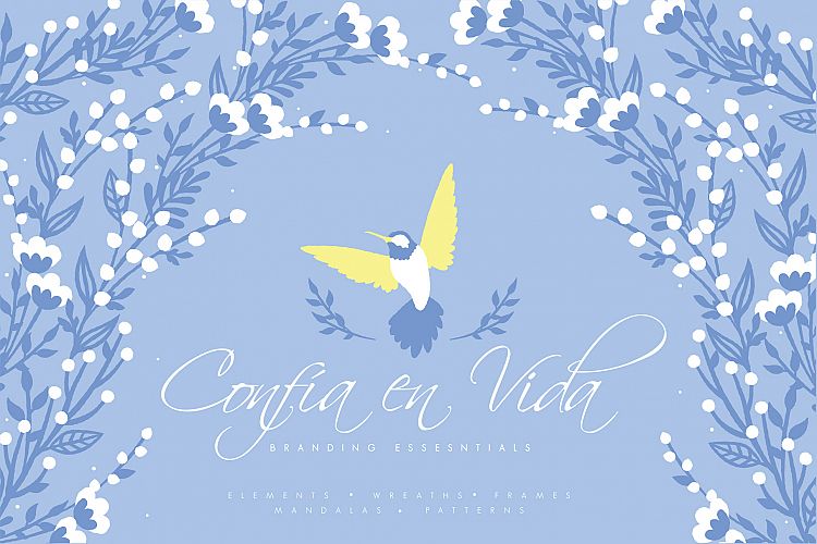 Confia en Vida - Branding Essetials