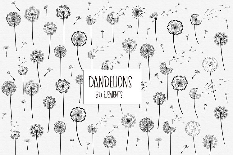 Dandelion SVGs Image 2