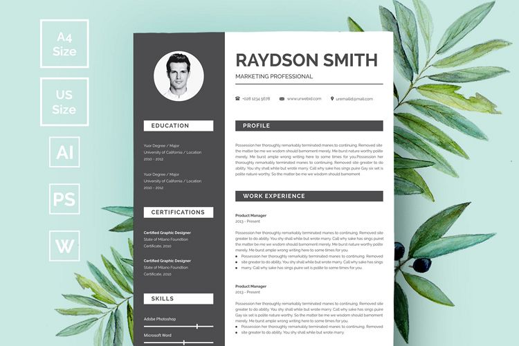 Modern Resume/CV