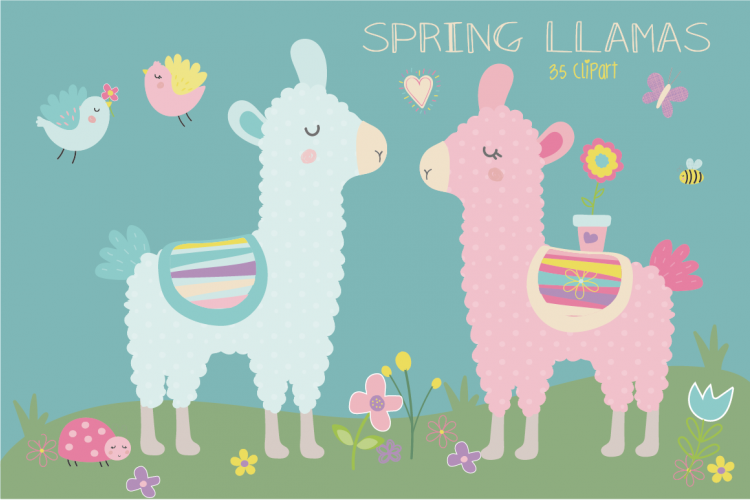 Spring llamas