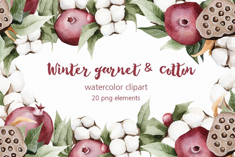 Winter watercolor garnet & cotton watercolor clipart