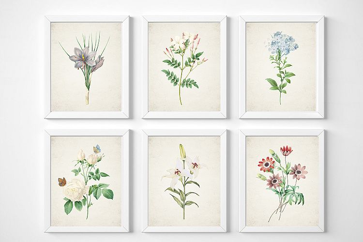 Vintage Flower Print, Wildflower Print Set, Plant Print Set