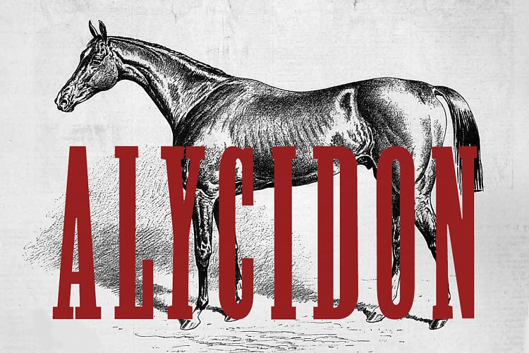 Alycidon Condensed