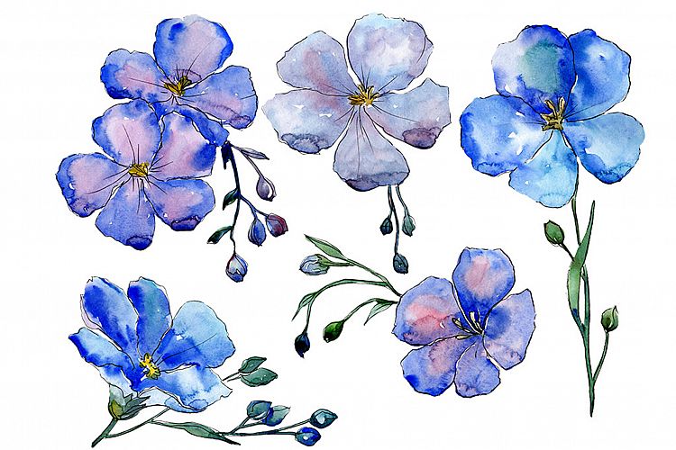 Wildflower blue flax PNG watercolor set