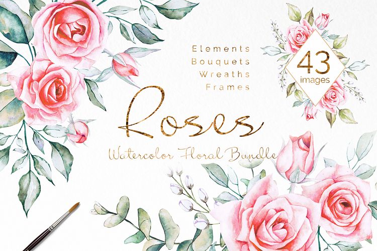 Pink Roses Watercolor Bundle