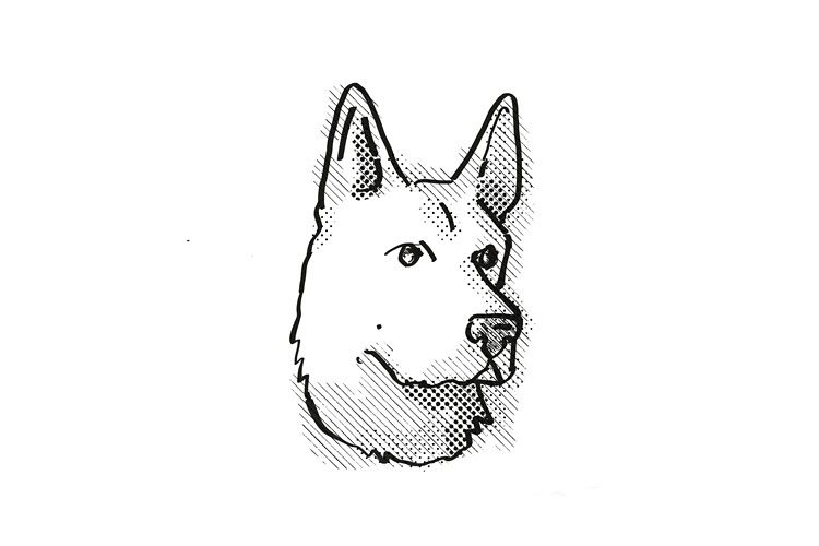 German Shepherd Dog Breed Cartoon Retro Drawing (372951 ...