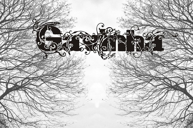 Gavinha