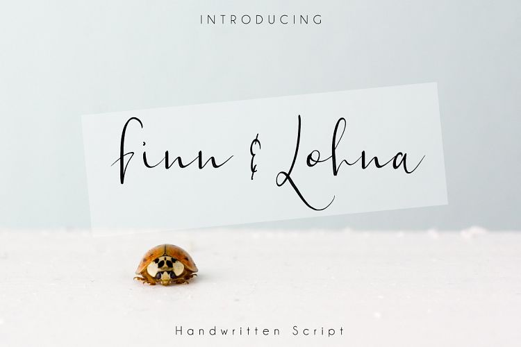 Finn   Lohna