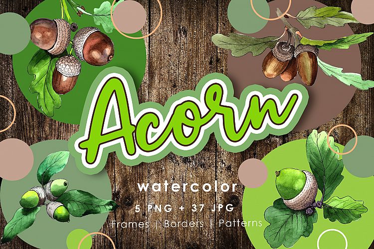 Acorn plant PNG watercolor set