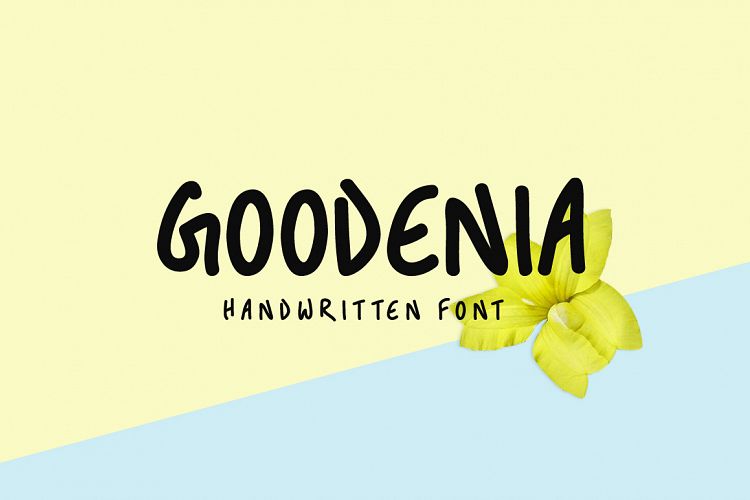 Goodenia