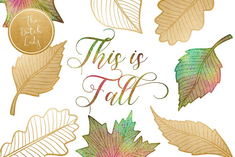 Autumn & Fall Leaves Clipart Set