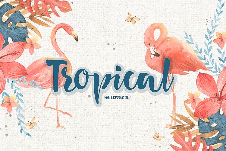 Tropical set. Flamingo