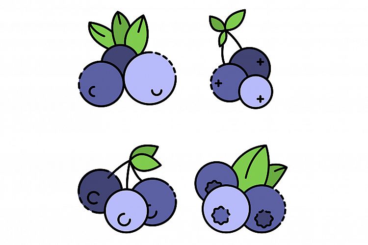 Bilberry icon set line color vector example image 1