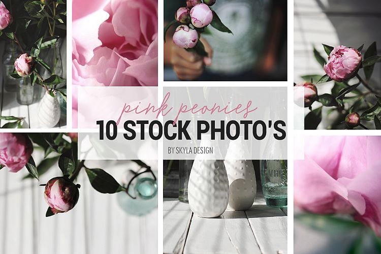 10 Pink peonies, styled stock photos