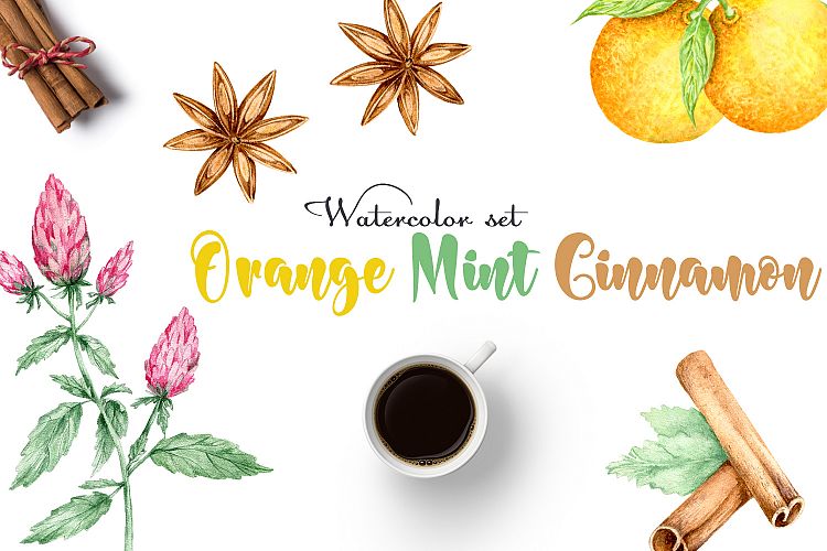 Orange, Mint, Cinnamon. Watercolor