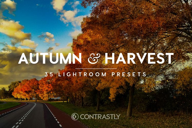 Autumn & Harvest Lightroom Presets