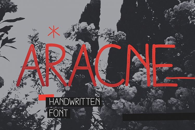 Aracne