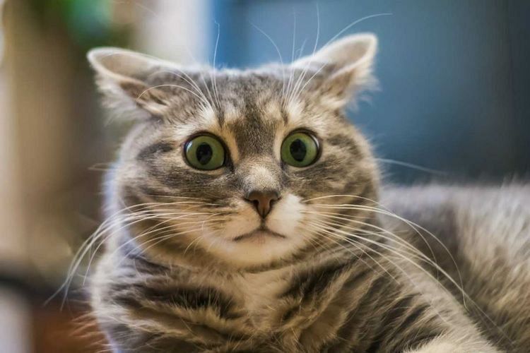 1111111111