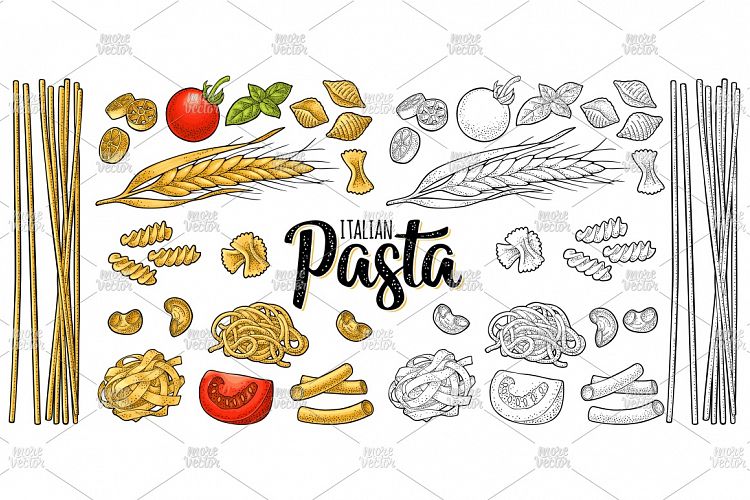 Set with different types of pasta. Vector vintage engraving