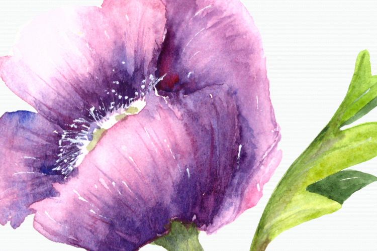 Watercolor Purple Summer Floral Clip Art Set
