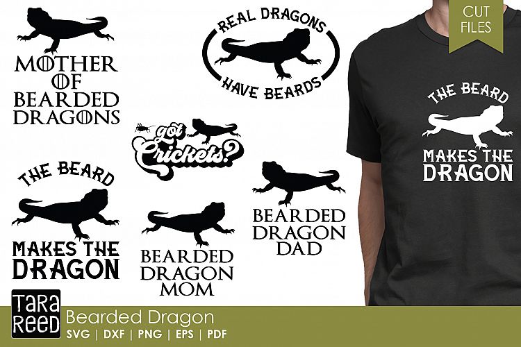 Download Bearded Dragon SVG and Cut Files for Crafters (255744 ...