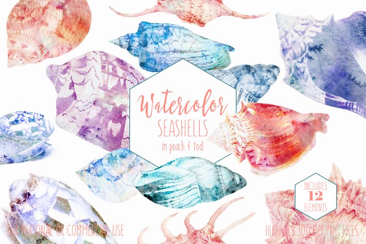 Beach Seashells Ocean Shells Clipart