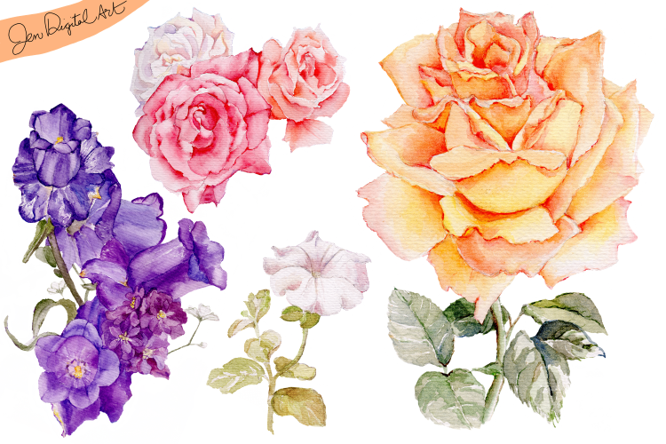 Hand Painted WATERCOLOR FLOWERS | Clip art | PNG/JPEG