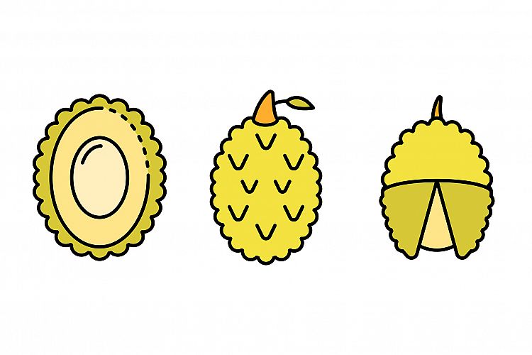 Lychees icons set vector flat