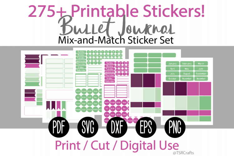Bullet Journal and Planner Sticker Set - Raspberry and Mint