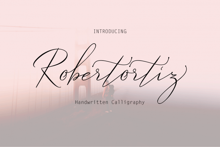 Robertortiz