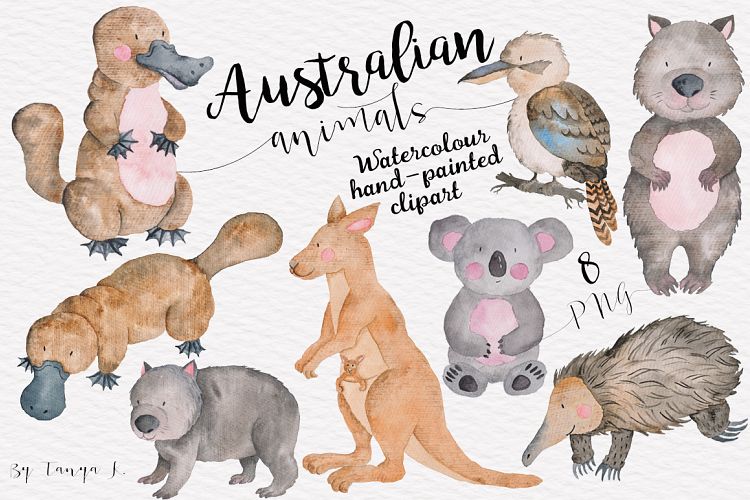 Australian Animals Watercolor Set