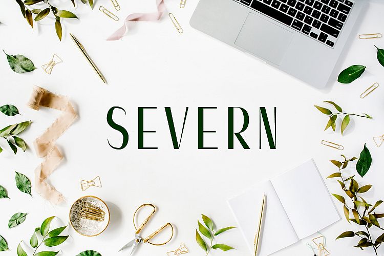 Severn Sans Serif Font Family