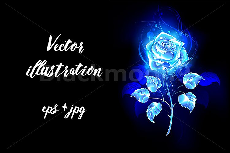 Burning Blue Rose