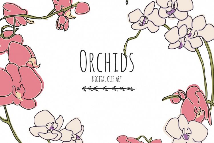 Orchids - Digital Clip Art