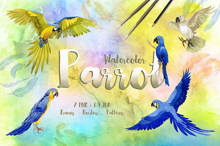 Watercolor cool parrot PNG bird set
